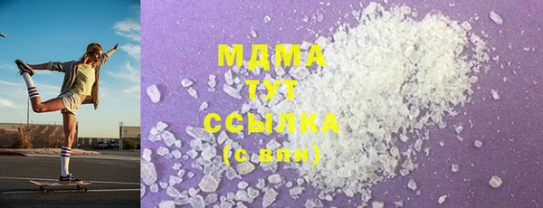 индика Лабытнанги