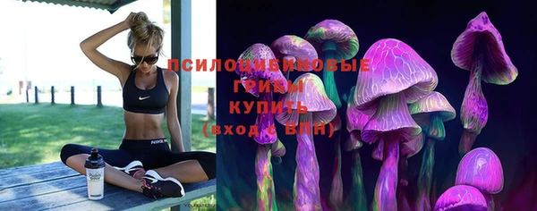 прущая мука Кулебаки