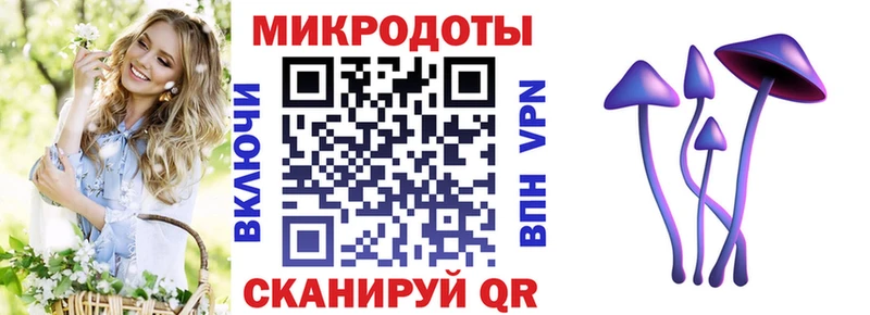 как найти наркотики  Краснослободск  Галлюциногенные грибы прущие грибы 